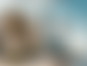 Qatar Visa Application