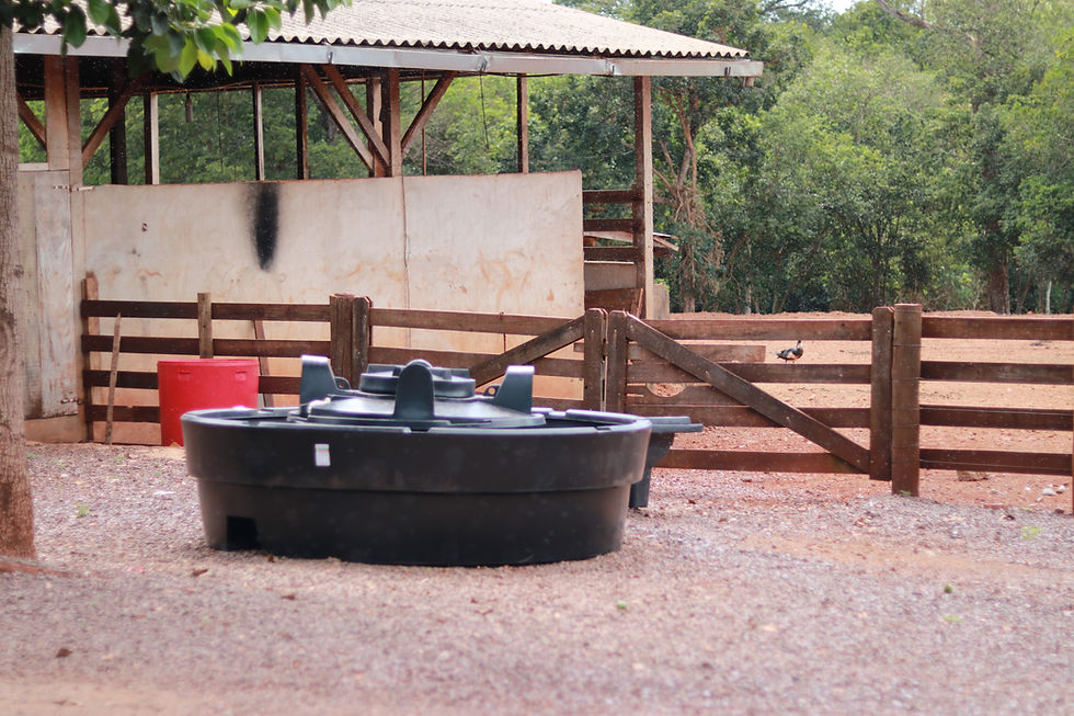 Miniatura: Bebedouro com reservatório 2100 litros