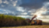 AdobeStock_311096917.jpeg