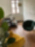 IMG_0006.JPEG