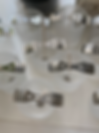 DF776D3B-3AE0-4A2A-8BE4-9D20B2BFAB94_edited.png