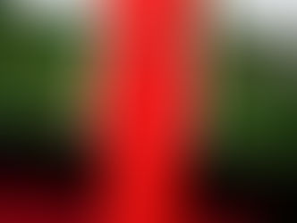 The 73rd Annual Golden Globe Awards!