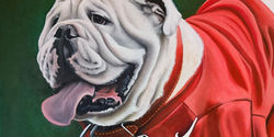 UGA VII