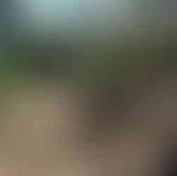 new driveway construction