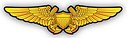 Naval Flight Officer Wings