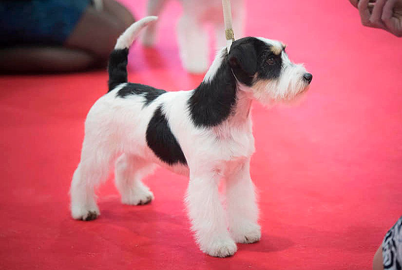 291958649_5139828406053380_7815910236259877593_n_edited