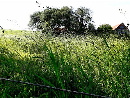 Screenshot_20200907-212253_Photos.jpg