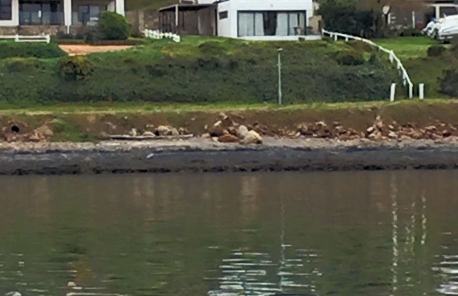 View of Waterford property from the river