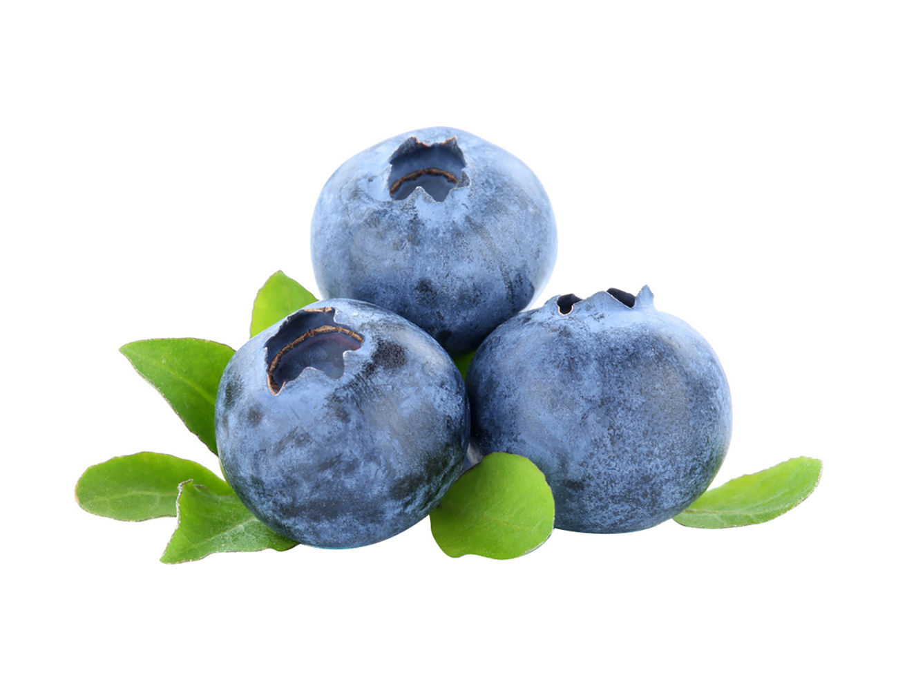 Blue Berries ( Dried )