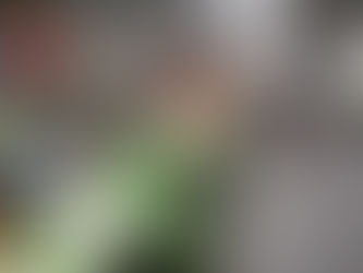 सरकार को दी चेतावनी, राज्य की मंडियां पांच दिन के लिए बंद की घोषणा