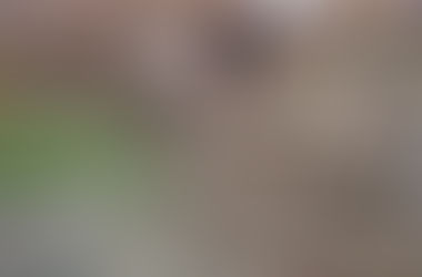 मकान की दीवार गिरने से दो की मौत, एक घायल