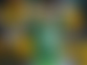 शाहिद अफरीदी को कोरोना