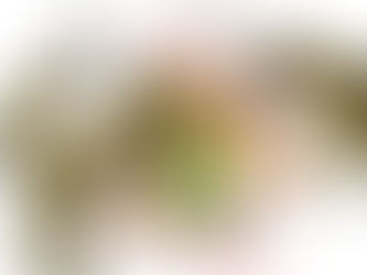 लॉकडाउन में पुलिस ने खोया आपा, मारपीट-दुव्र्यवहार से परेशान जरूरतमंद