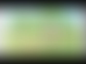 काट रहे थे हरा पेड़, कर्मचारी पहुंचे तो भाग छुटे लक्कड़हारे