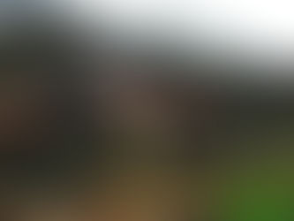 कोटा सहित इन जिलों में आज भारी बरसात और तूफान का अलर्ट