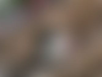 तेज आंधी में पेड़ मौत बन कर टूटा, कपड़ा व्यापारी की गई जान