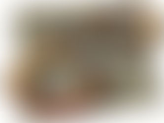 हत्या का आरोपी गिरफ्तार