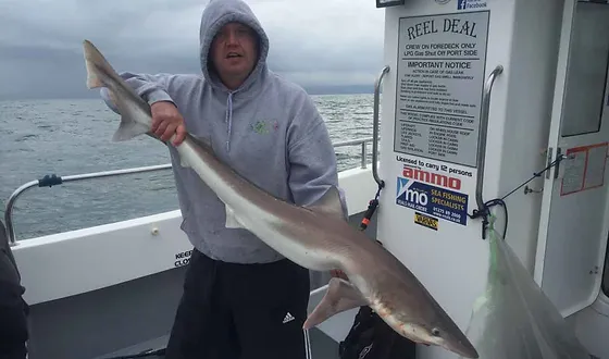 Fishing Reel Deal Charters