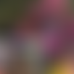 Ritual y Color: Las huellas de la muerte en el desfile de Día de Muertos. 