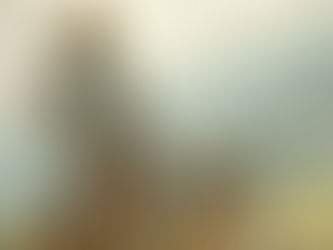 Confabulações Sociais