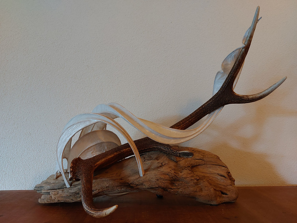 Miniaturbild: Eivind