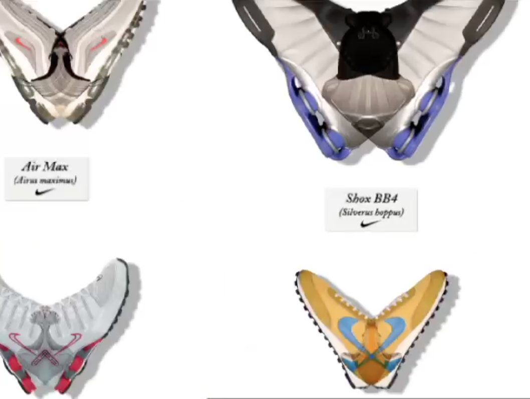 NIKE butterfly