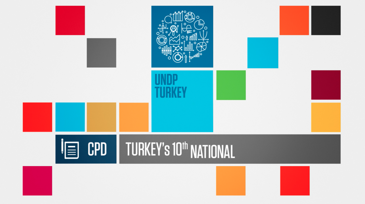 UNDP-Turkey
