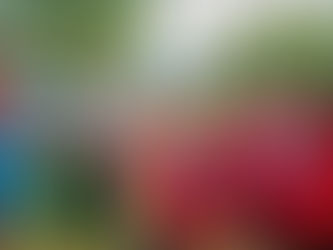 Memphre: If You Like (Warm) Piña Coladas