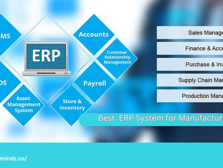 Elite Mindz ERP: A Smart Solution For Cost And Error Reduction In Nigerian Manufacturing