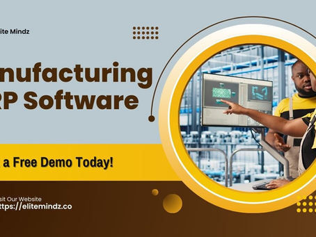 How Manufacturing ERP Software Is Driving Digital Transformation In India – Elite Mindz
