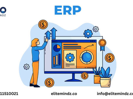 ERP Software in India