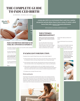 image for induction toolkit webpage.png