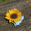 Thumbnail: Felt Sunflower and Sweet Pea Hair Clip Kit