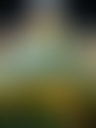 Symbols of Hope: The 15th Belenismo sa Tarlac