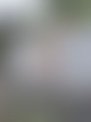 Halamanan sa Barangay Center