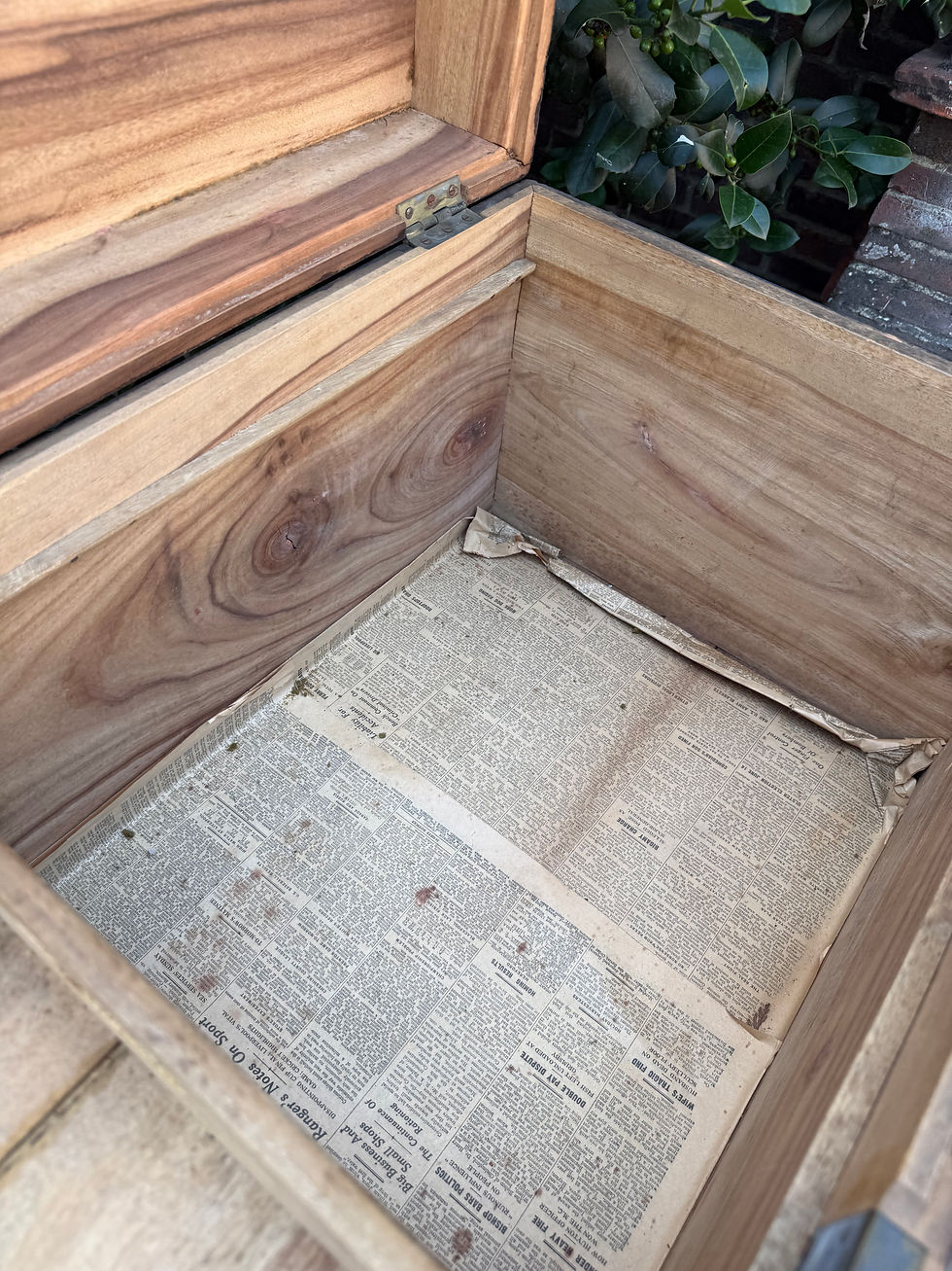 Thumbnail: Oriental Carved Camphor Blanket Chest