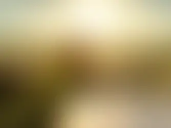 Imagem de um devocional do site devocionaljesus.com.br com o tema DEVOCIONAL para bênçãos financeiras, mostrando um pastor guiando ovelhas em um campo verde ao pôr do sol, simbolizando Salmos 231. Em primeiro plano