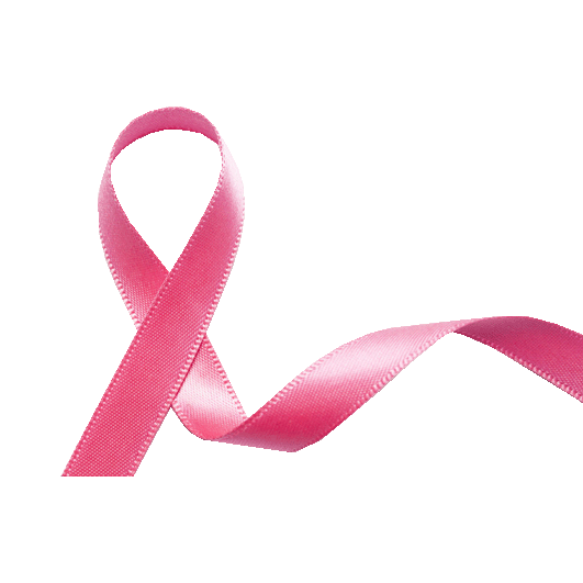 pink ribbon.gif