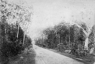 Alberton Main Road 1890.jpg