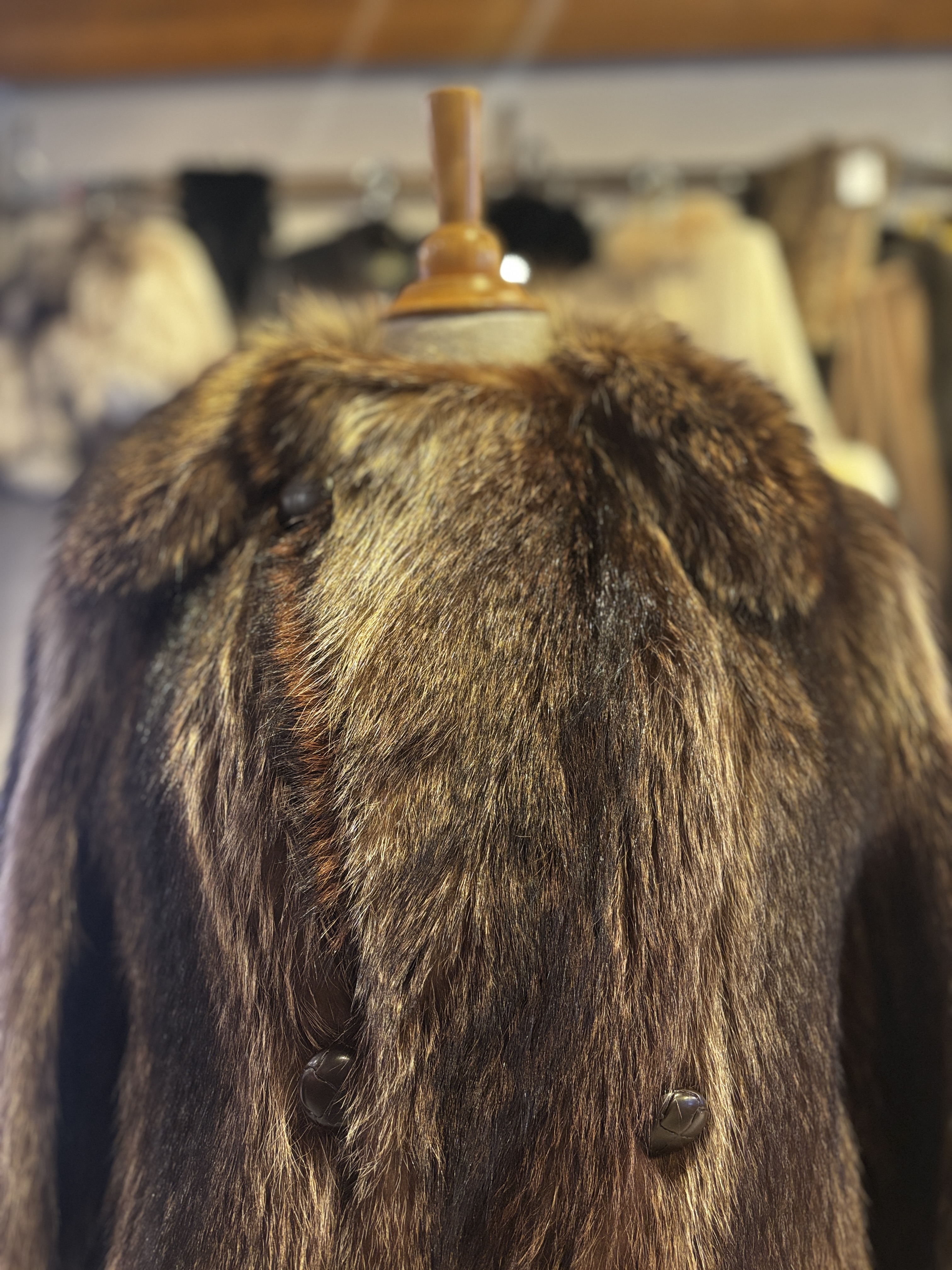 Manteau chat sauvage naturel, Médium