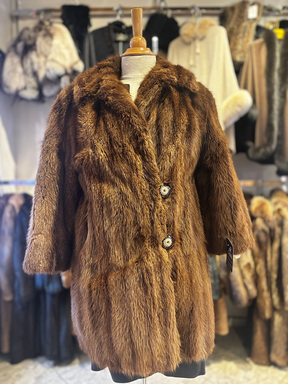 Thumbnail: Manteau de castor brun, Médium