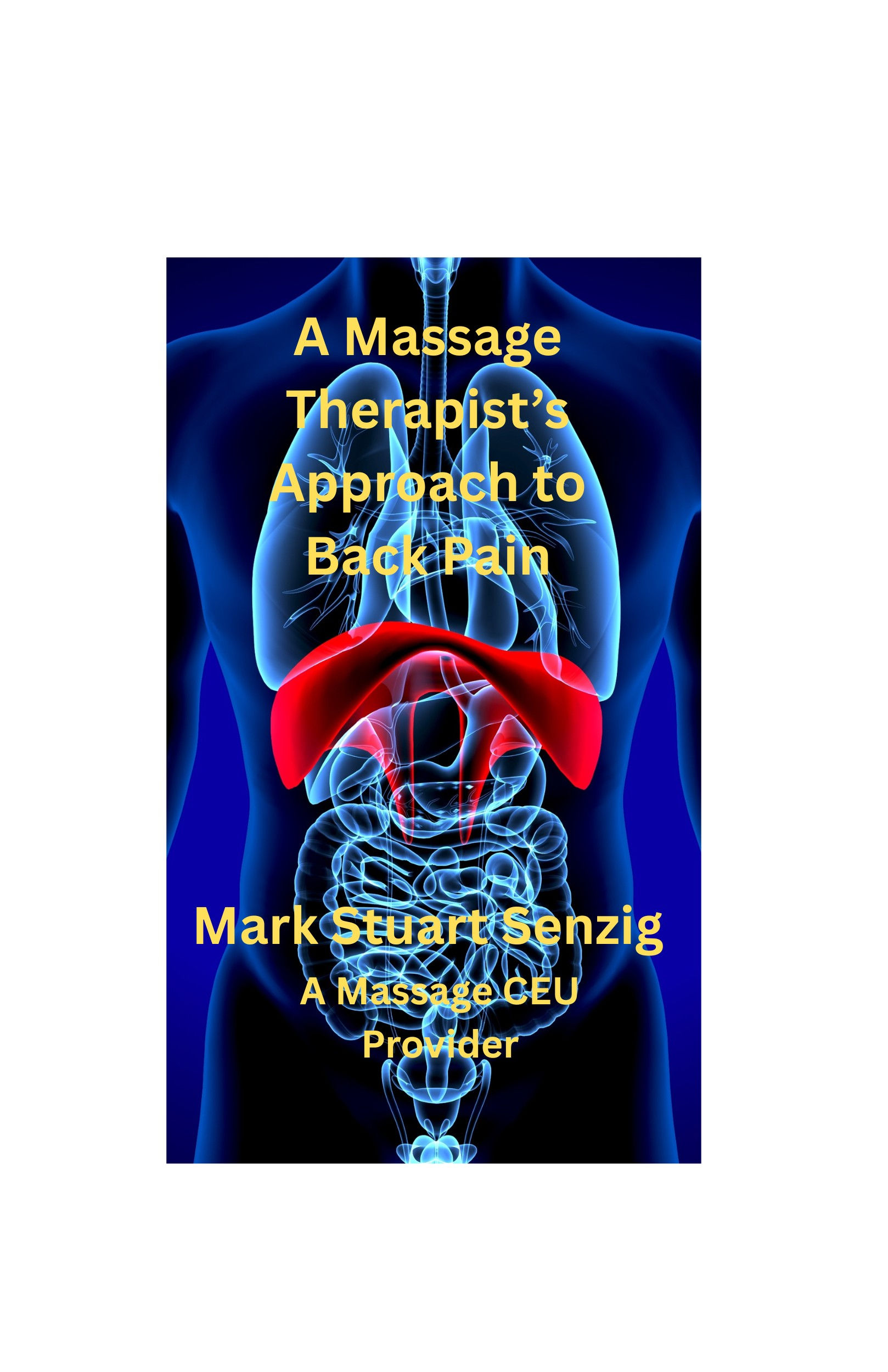 A Massage Therapists Approah to Back PainAudio book (2) hours