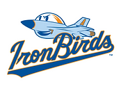 IronBirds Logo (2).png