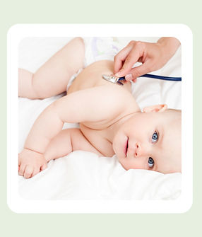 Site de Comunicação Interna Apresentação de Novato Blocos Coloridos Verde e Preto - Home (