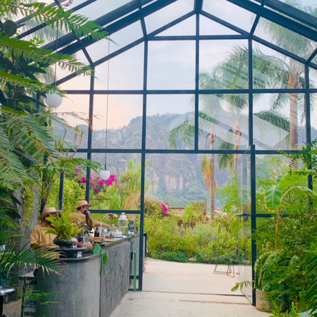 Guide: Mexico City & Tepoztlan