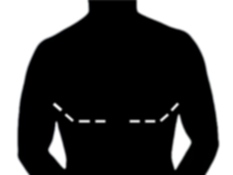 scar 1.png