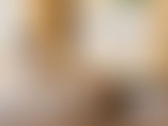 Zwei Katzen streiten sich - was tun?