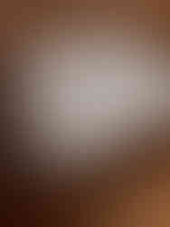 Bastet Katzenstreu mit Gesundheitsüberwachung Tüte von Innen