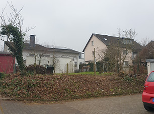 20250213_135903.jpg
