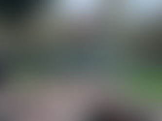 Solicitan que vuelva la frecuencia habitual de las líneas de autobuses entre Castro y Barakaldo